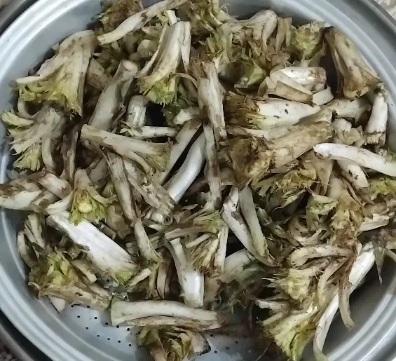 کنگر|خوردنی و آشامیدنی|لاران, |دیوار