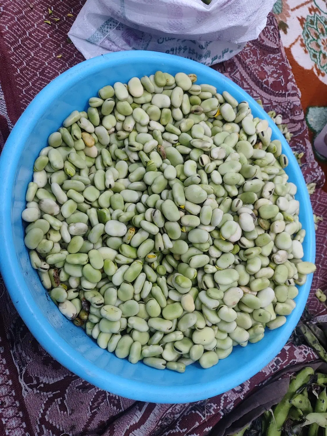 باقله|خوردنی و آشامیدنی|کارون, |دیوار