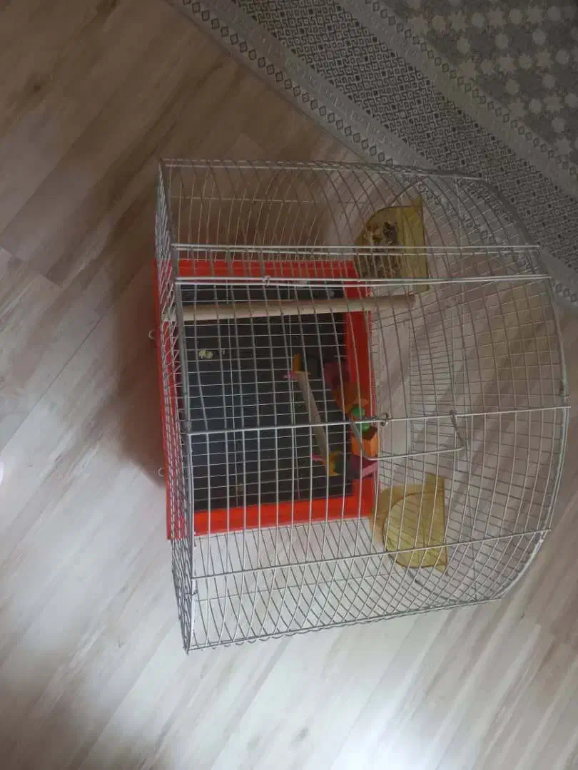 قفس|لوازم جانبی حیوانات|شیراز, شیخ روزبهان|دیوار