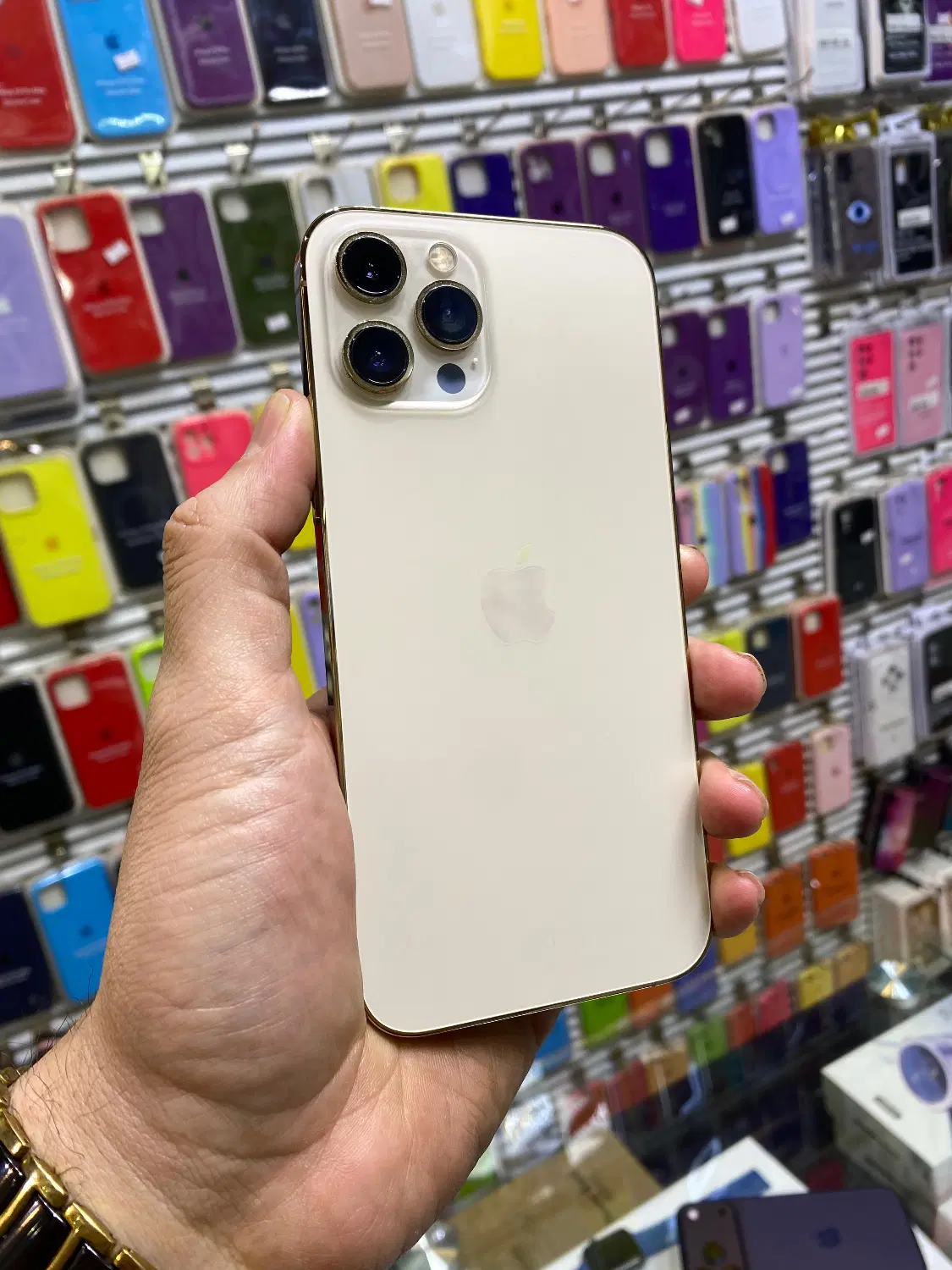 iphone 12 pro max gold|موبایل|قم, صفائیه|دیوار