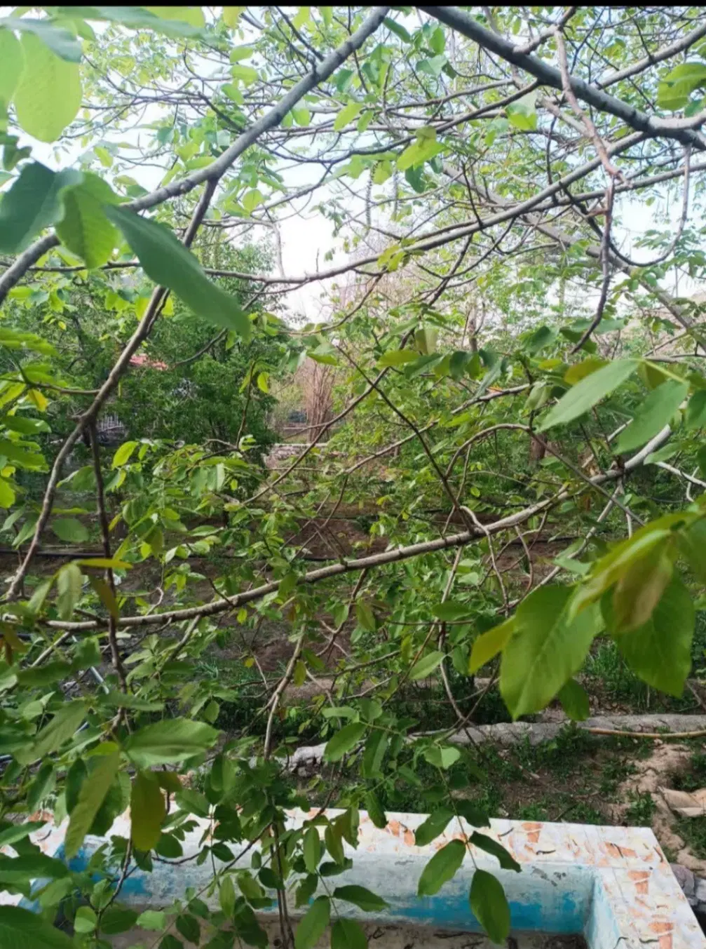 تصویر 5