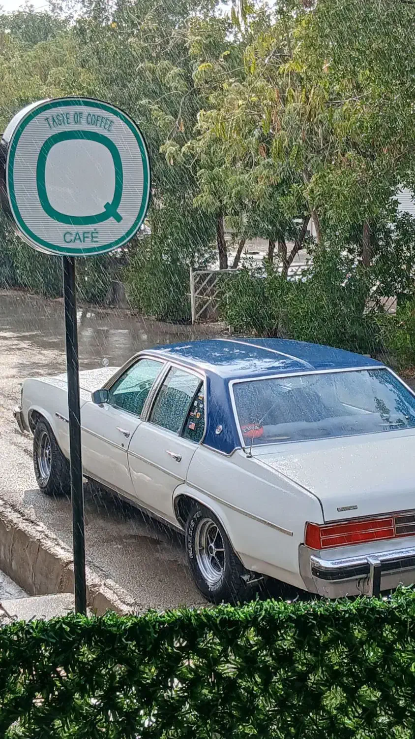 بیوک B3مدل65|خودرو کلاسیک|دوگنبدان, |دیوار