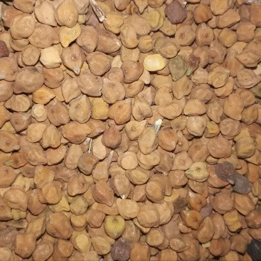 غلات|خوردنی و آشامیدنی|قیدار, |دیوار