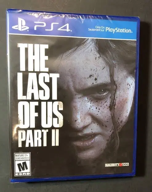 Ps4 the evil|کنسول، بازی ویدئویی و آنلاین|کرج, رجب‌آباد|دیوار