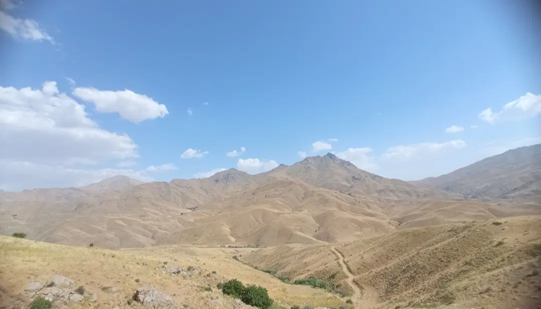 کاه|لوازم جانبی حیوانات|مریوان, |دیوار