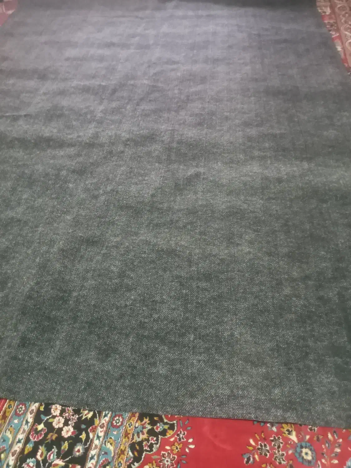 موکت|موکت|تبریز, |دیوار