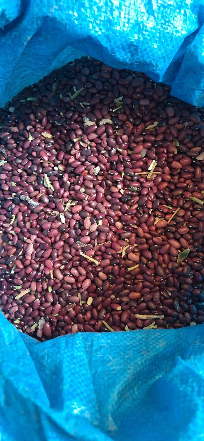 لوبیا|خوردنی و آشامیدنی|یاسوج, |دیوار