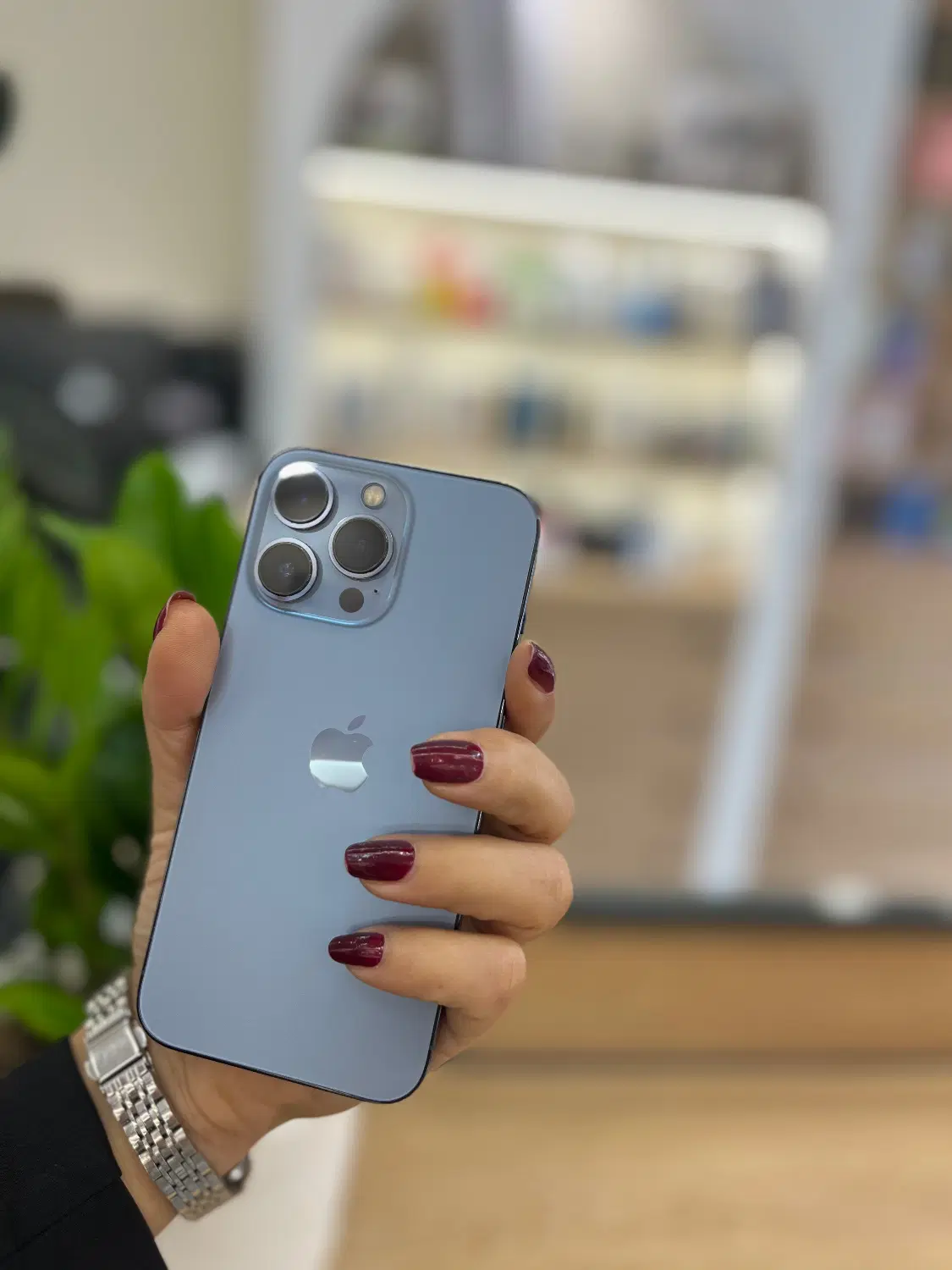 Ip 13pro|موبایل|کرمان, |دیوار