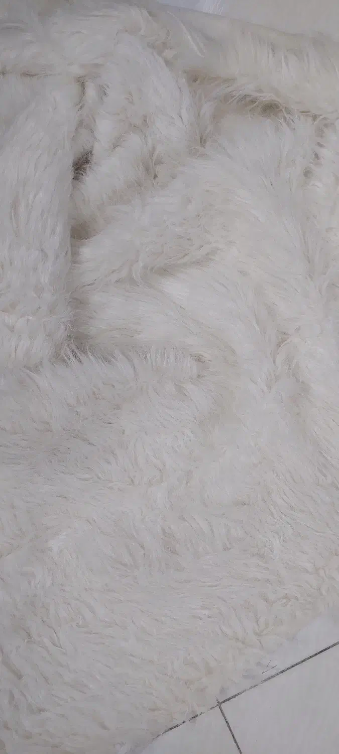 خز مو بلند|لوازم خیاطی و بافتنی|تهران, اسکندری|دیوار