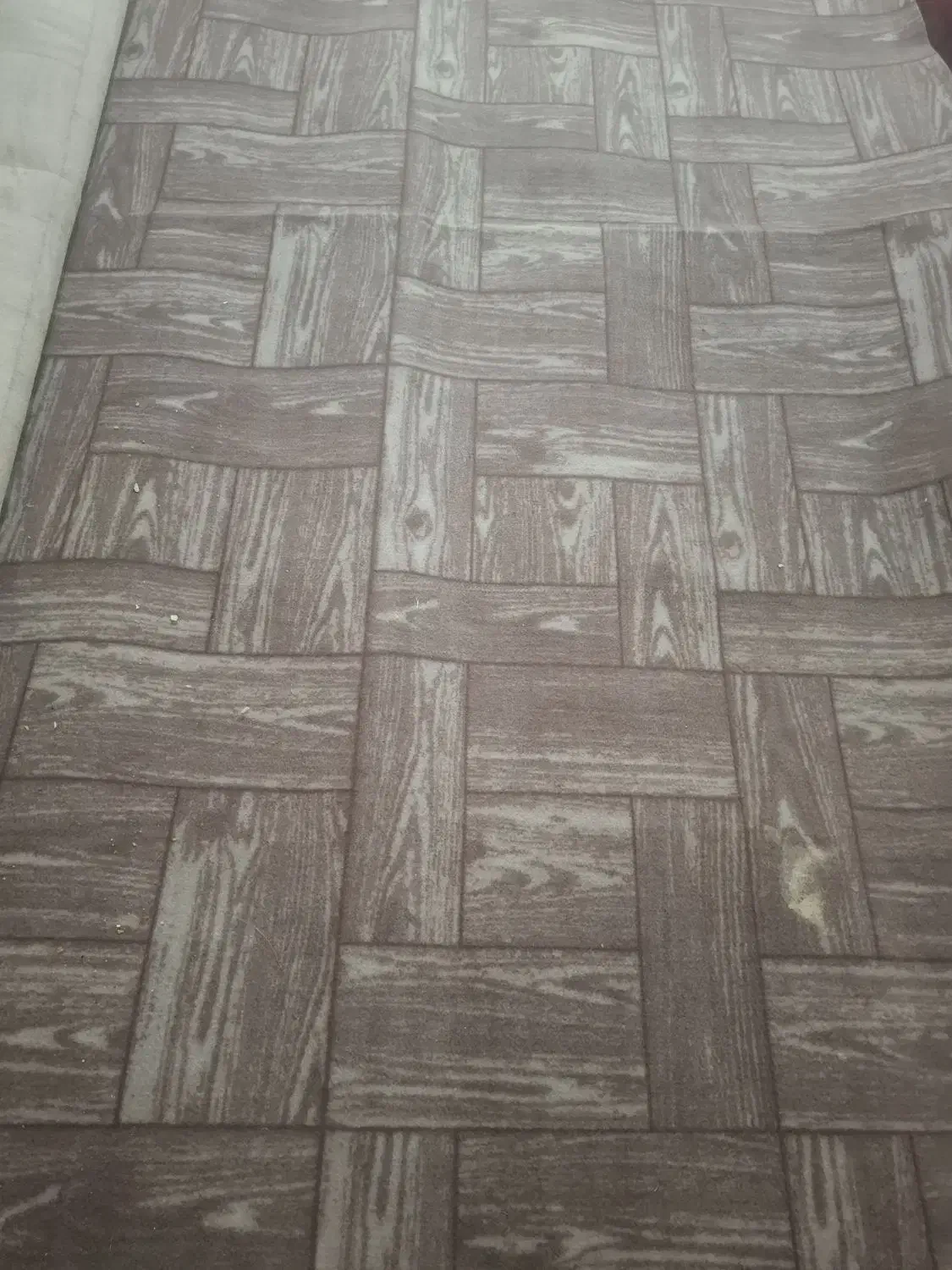 موکت|موکت|گرگان, |دیوار