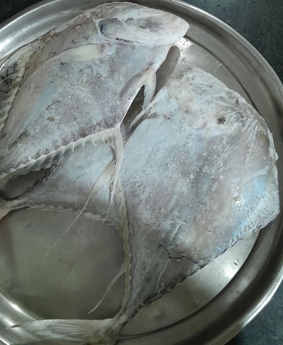 سارم و جش|ماهی|بوشهر, |دیوار
