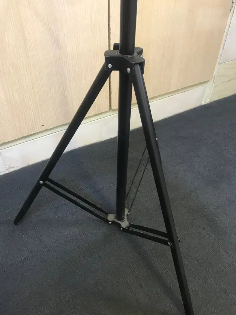 رینگ لایت|ریسه و چراغ تزئینی|قم, سالاریه|دیوار