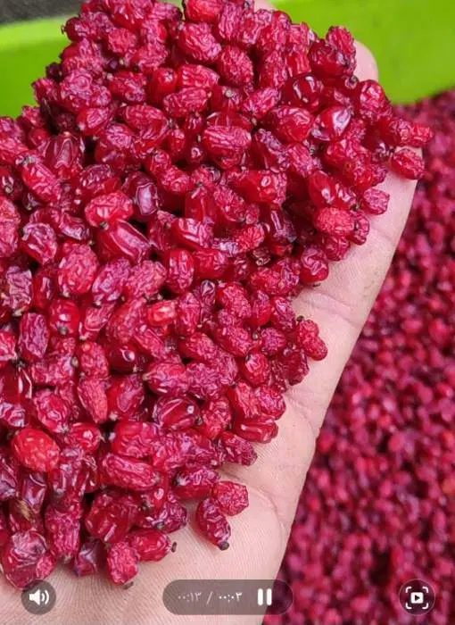 زرشک|خوردنی و آشامیدنی|جاسک, |دیوار