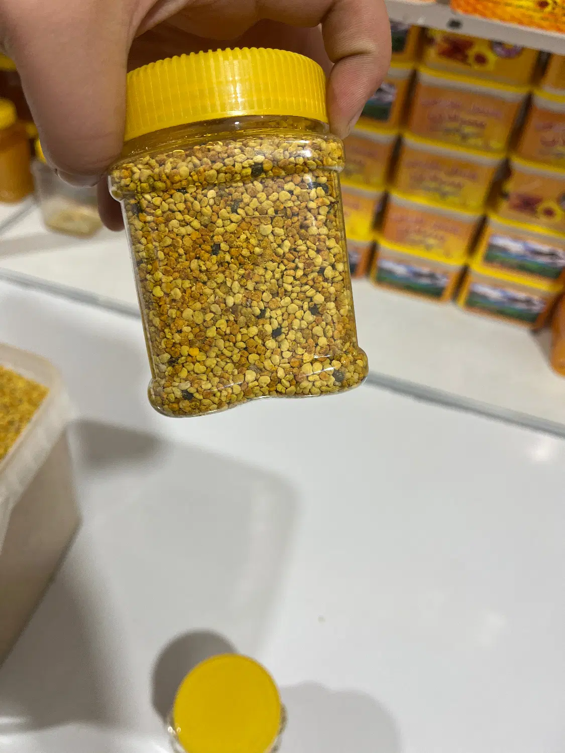 گردگل|گل و گیاه طبیعی|اردبیل, |دیوار