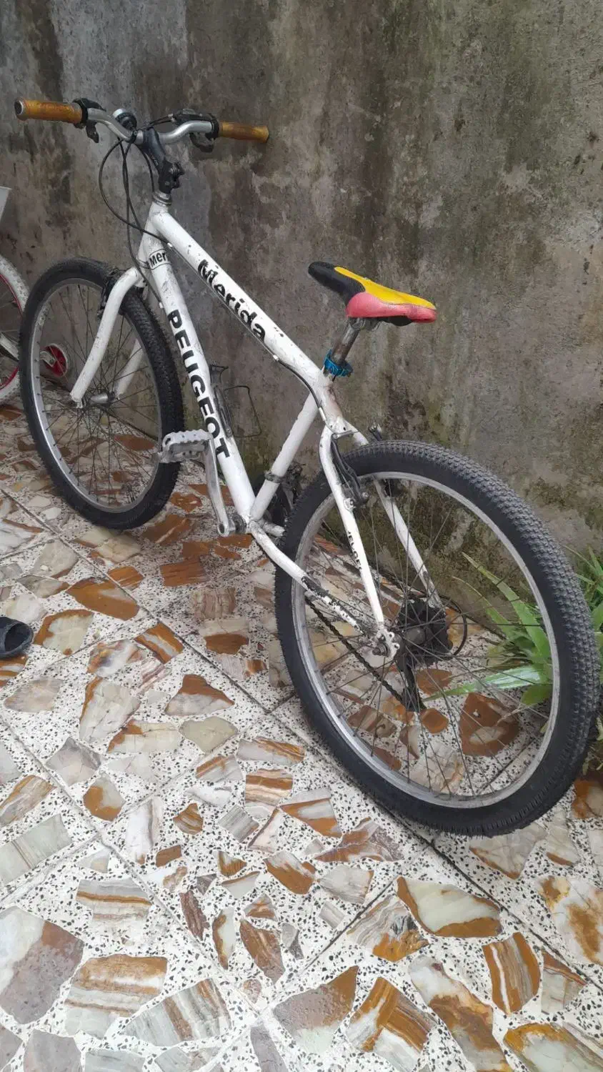 دوچرخه|دوچرخه، اسکیت، اسکوتر|رشت, نخودچر|دیوار