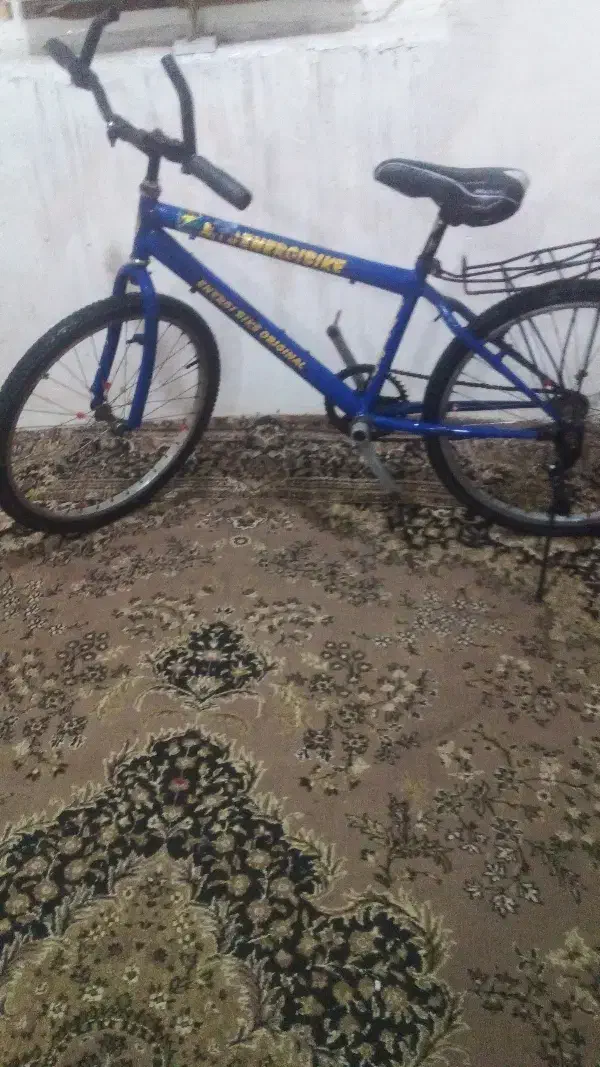 دوچرخه|دوچرخه، اسکیت، اسکوتر|گتوند, |دیوار