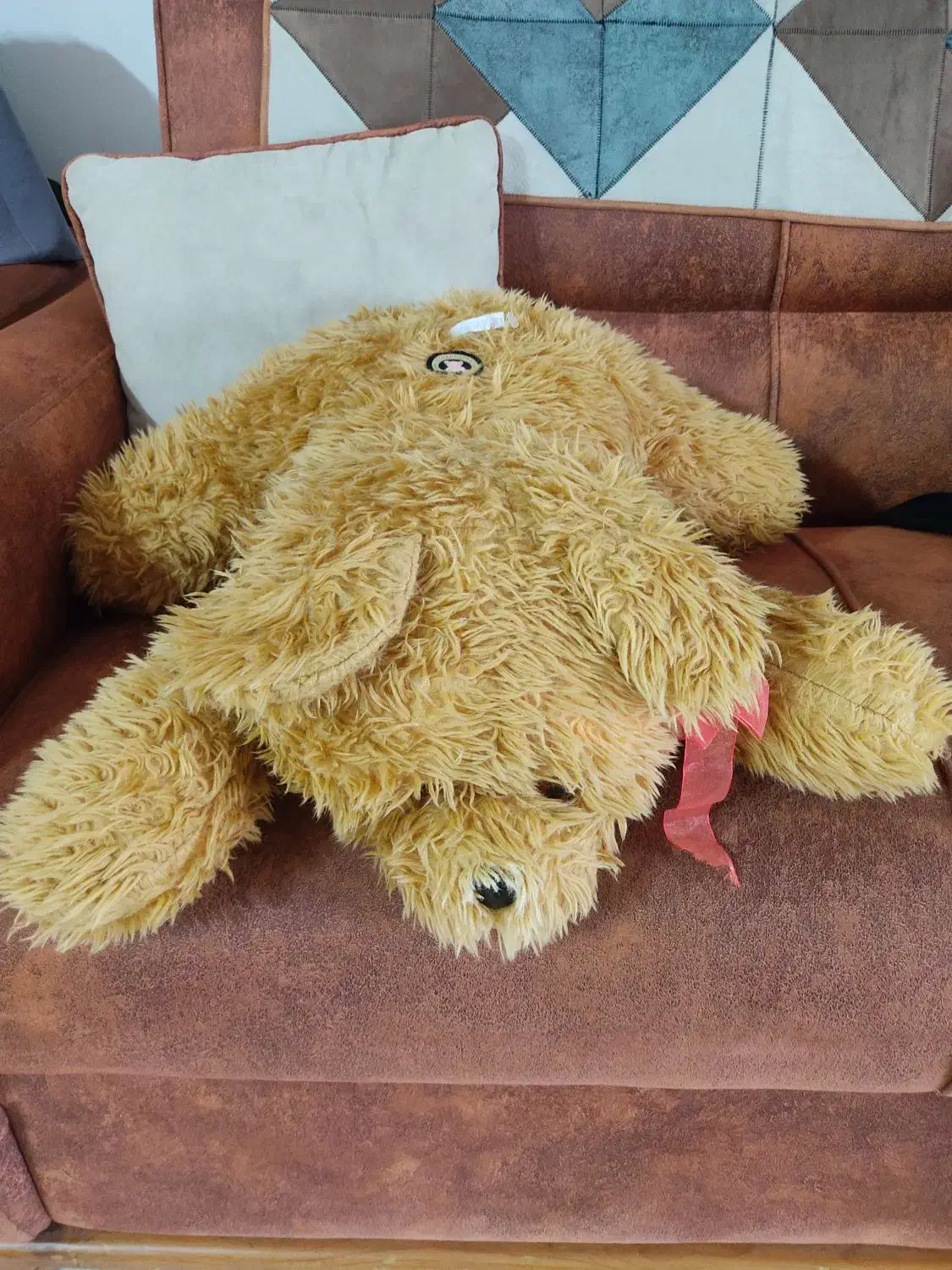 خرس|اسباب‌بازی بچه|بابلسر, |دیوار