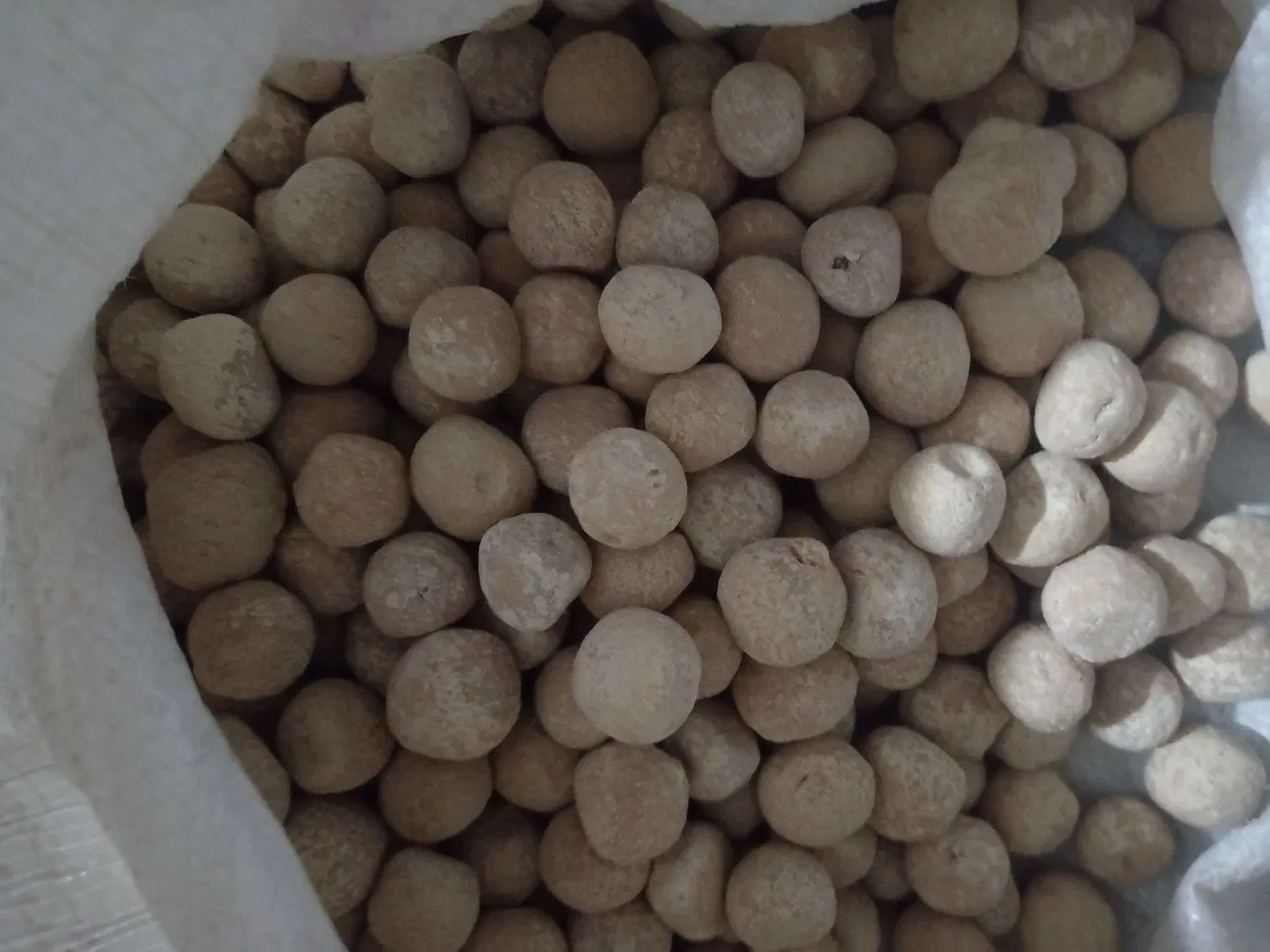 کشک میش|خوردنی و آشامیدنی|سوق, |دیوار