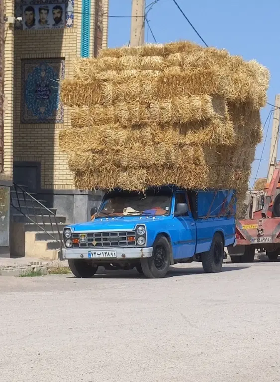 کاه|عمده‌فروشی|اردبیل, |دیوار