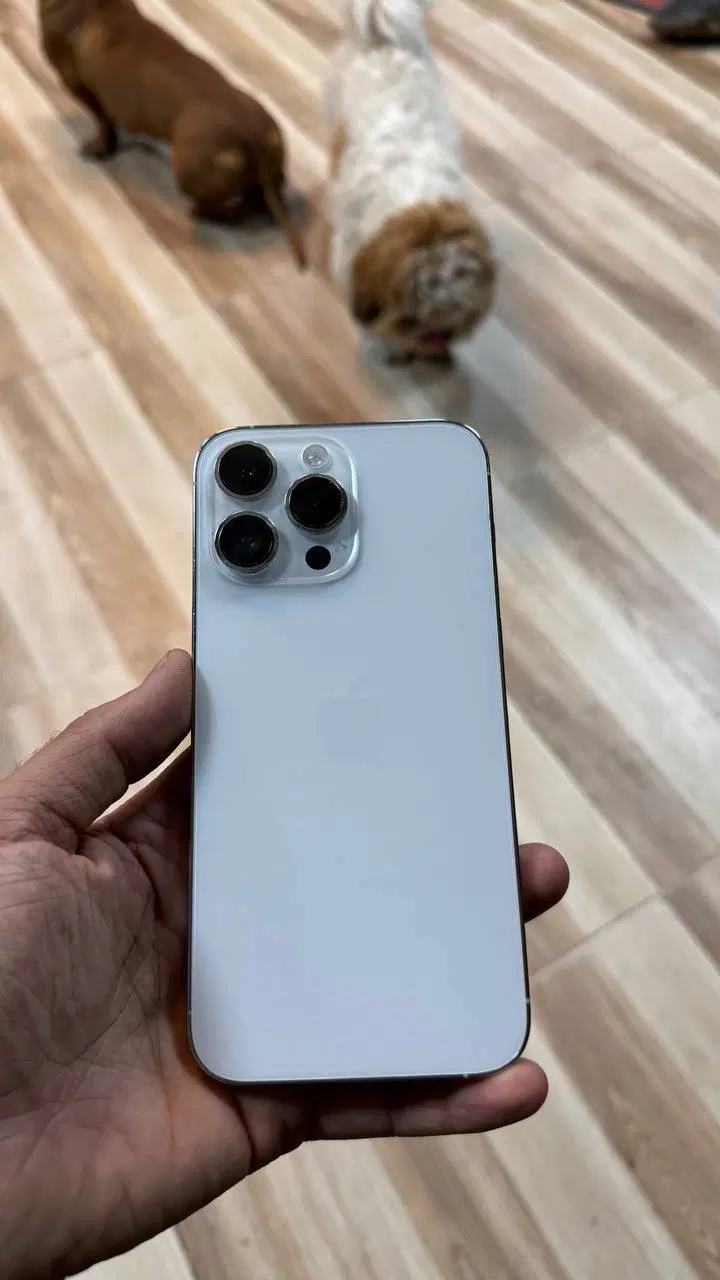 iphone 14promax 256|موبایل|قدس, شهرقدس|دیوار
