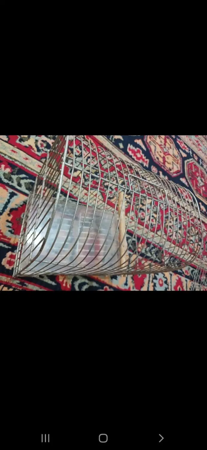 قف سره|لوازم جانبی حیوانات|تهران, ائمه اطهار|دیوار