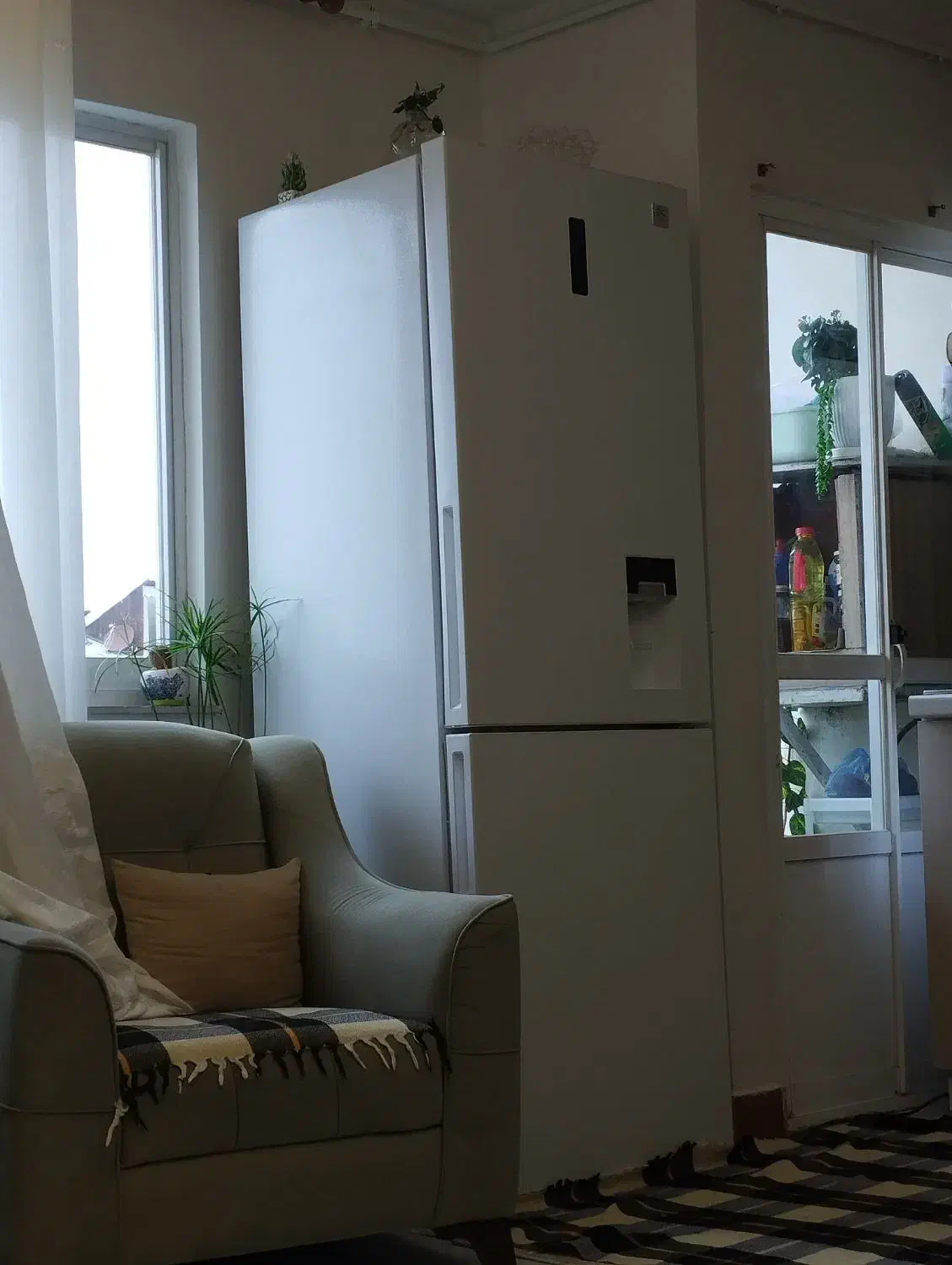 یخچال دوو|یخچال و فریزر|رشت, خمیران زاهدان|دیوار