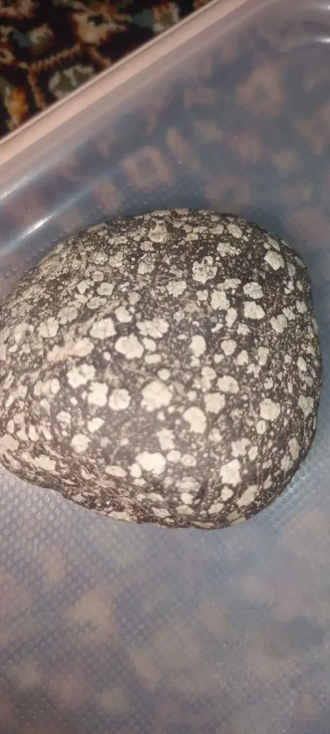 سنگ شهاب|کلکسیون اشیاء عتیقه|لواسان, |دیوار