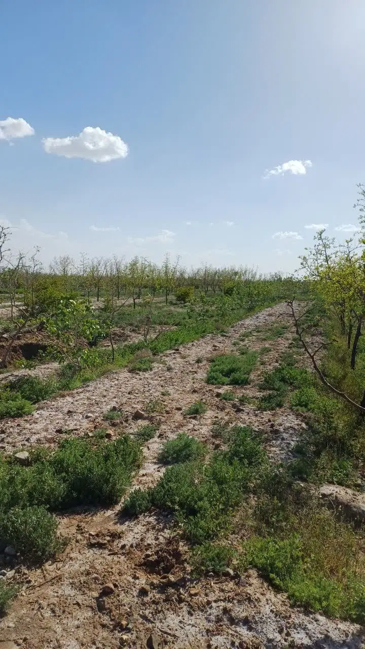 تصویر 3