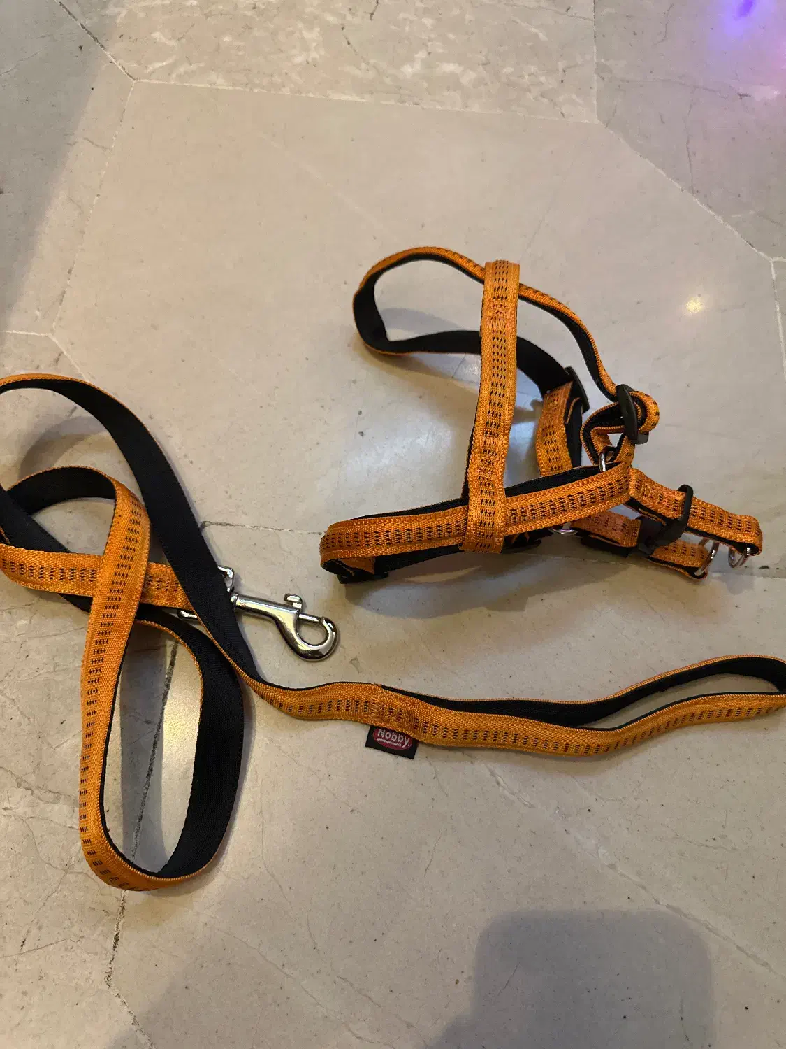 قلاده سگ‌|لوازم جانبی حیوانات|تهران, اقدسیه|دیوار