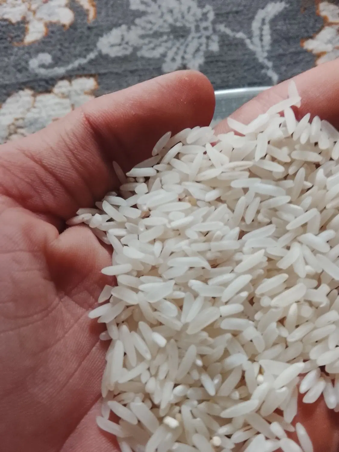 برنج|خوردنی و آشامیدنی|گرگان, |دیوار