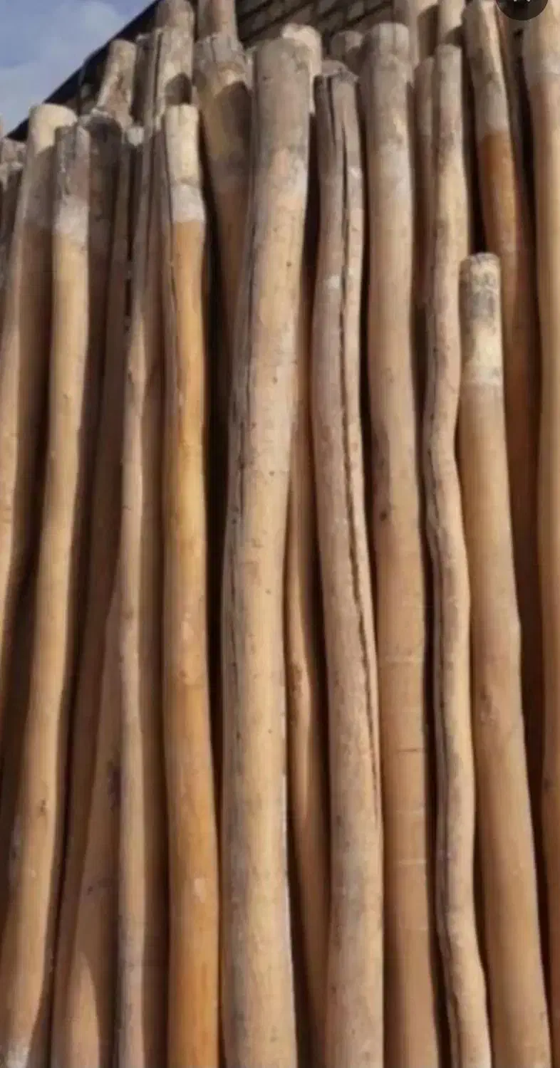 خرید چوب|خدمات باغبانی و درختکاری|نهاوند, |دیوار