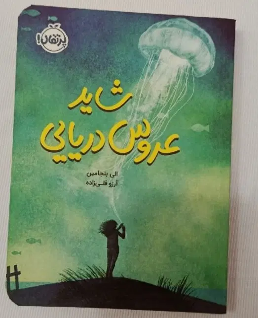 کتاب|کتاب و مجله|آستانه اشرفیه, |دیوار