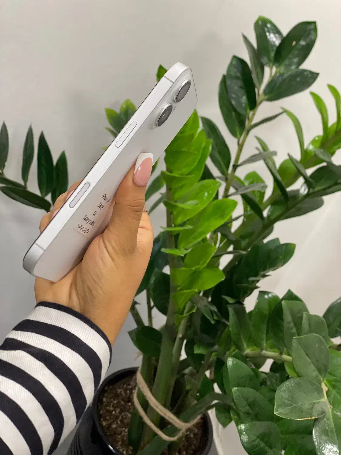 iPhone 17|موبایل|مشهد, احمدآباد|دیوار