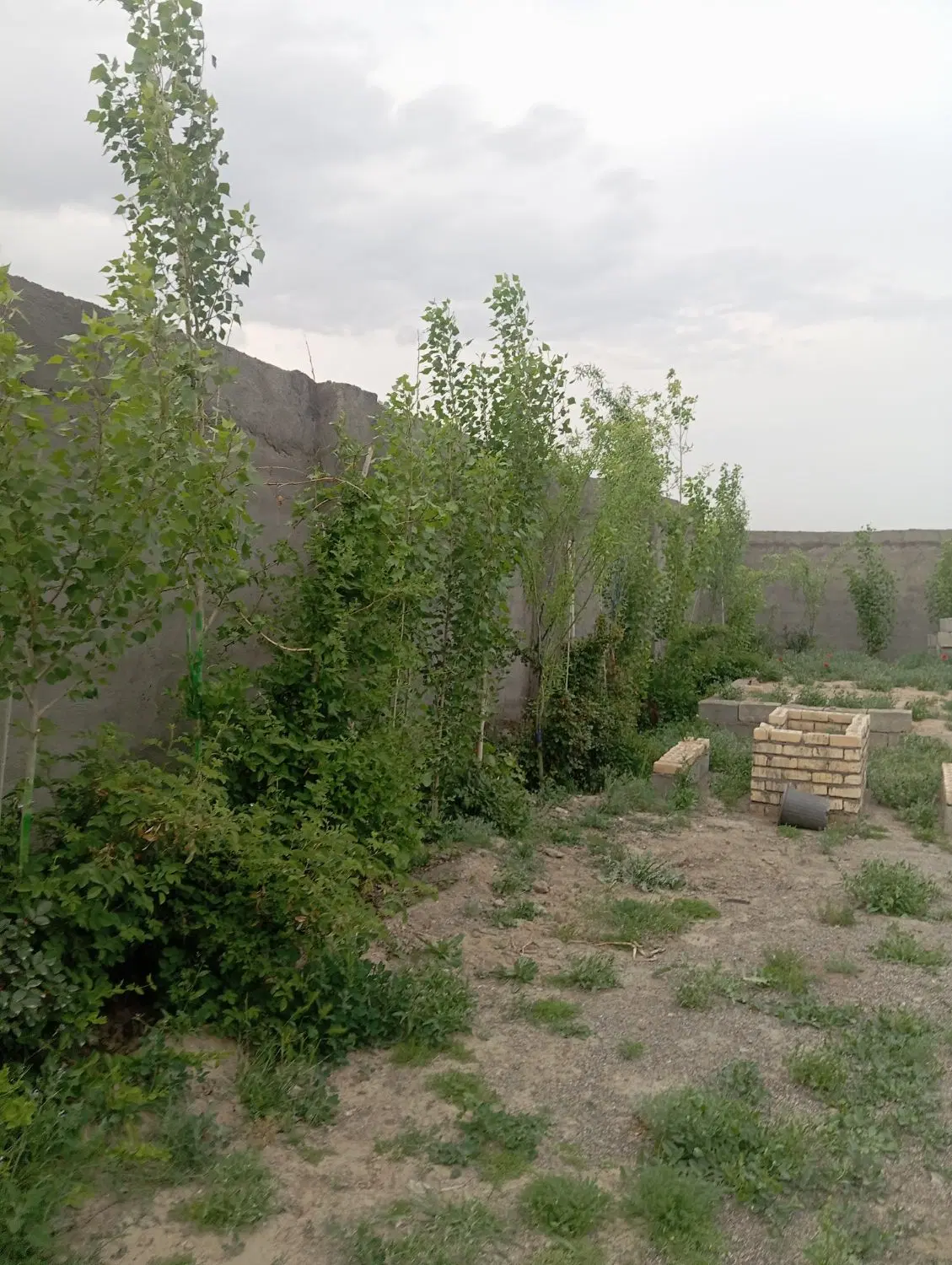 تصویر 8