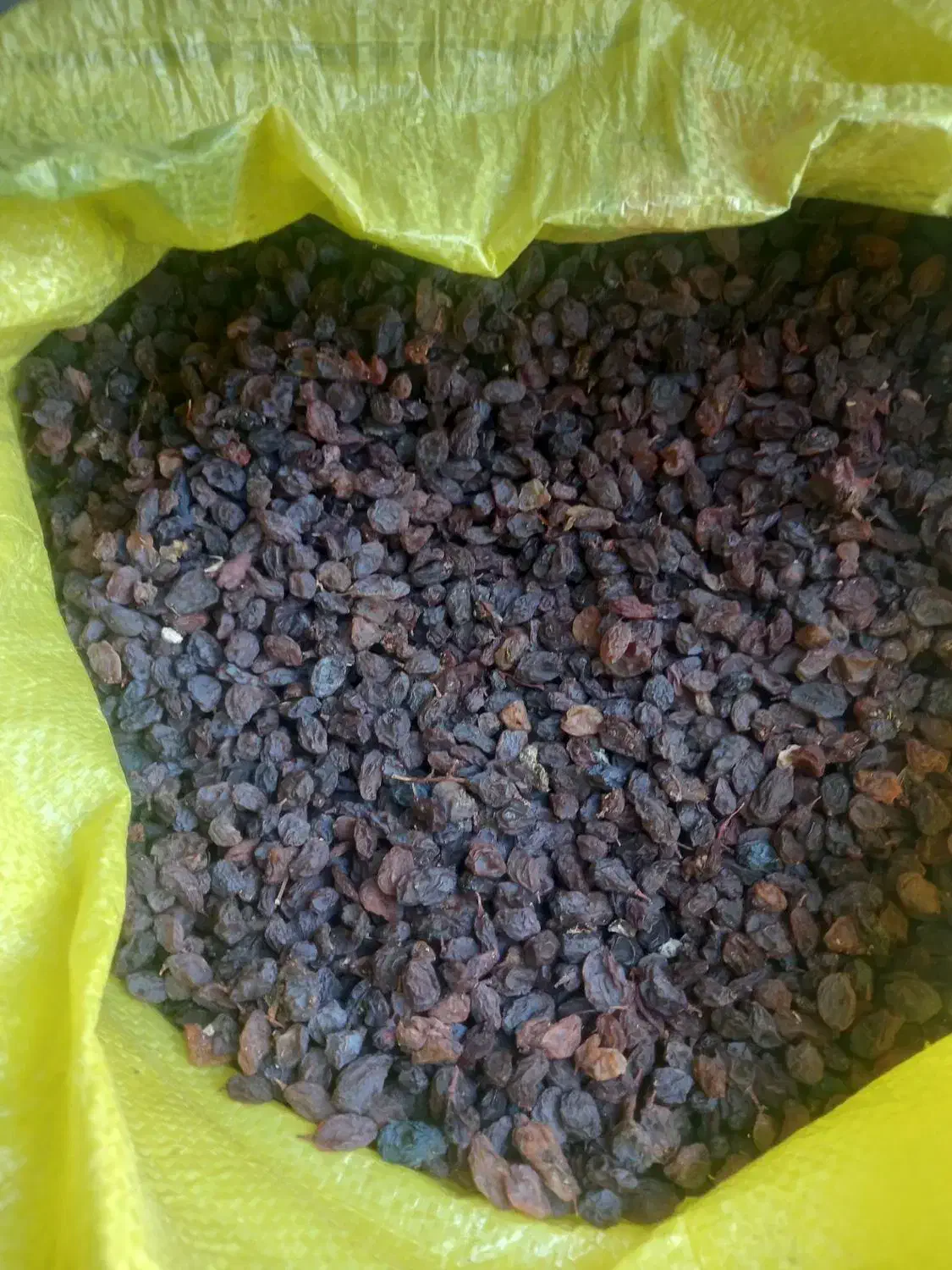کشمش|خوردنی و آشامیدنی|شیراز, عادل آباد|دیوار