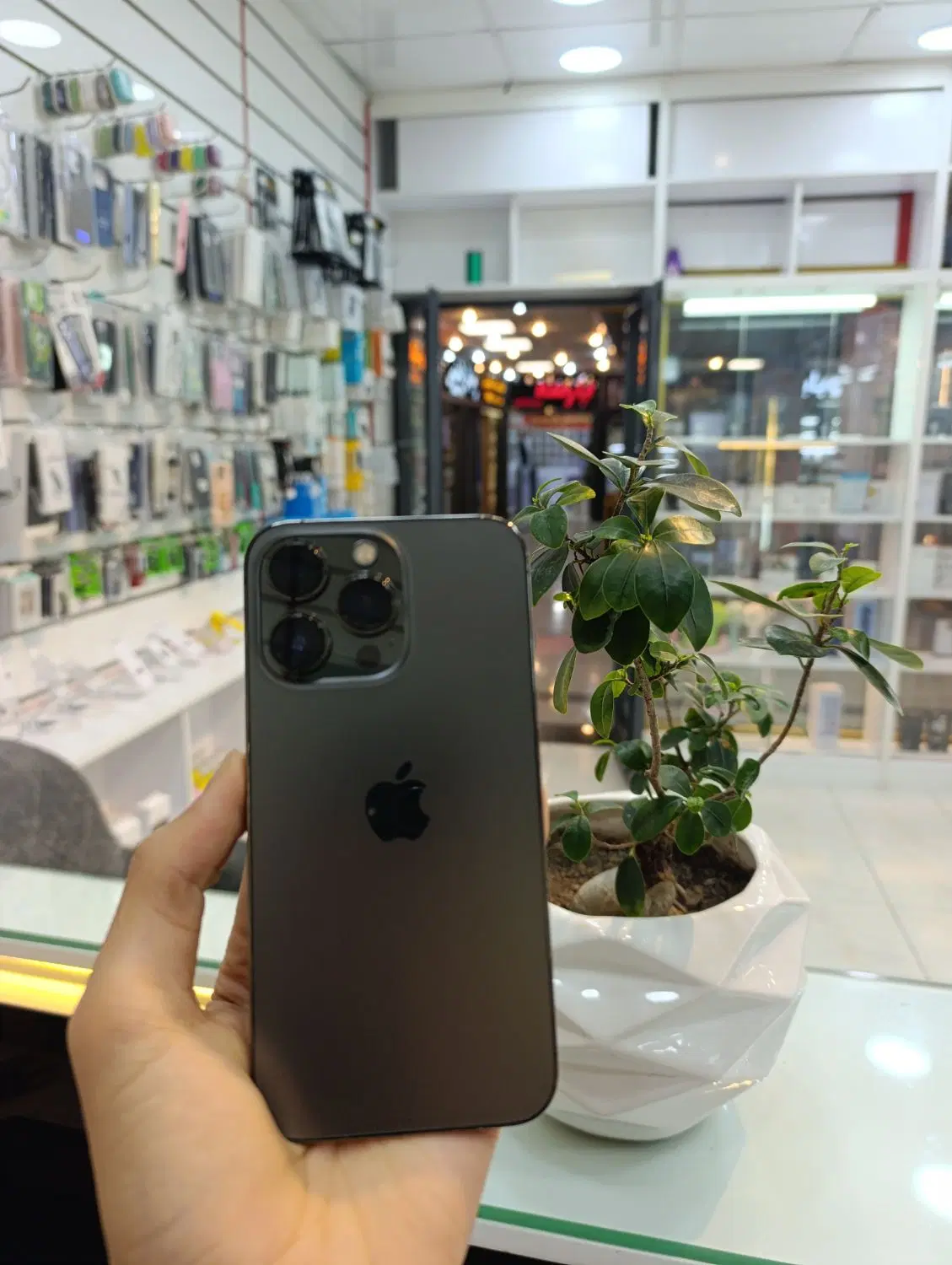 iphone13 pro|موبایل|شیراز, گود عربان|دیوار