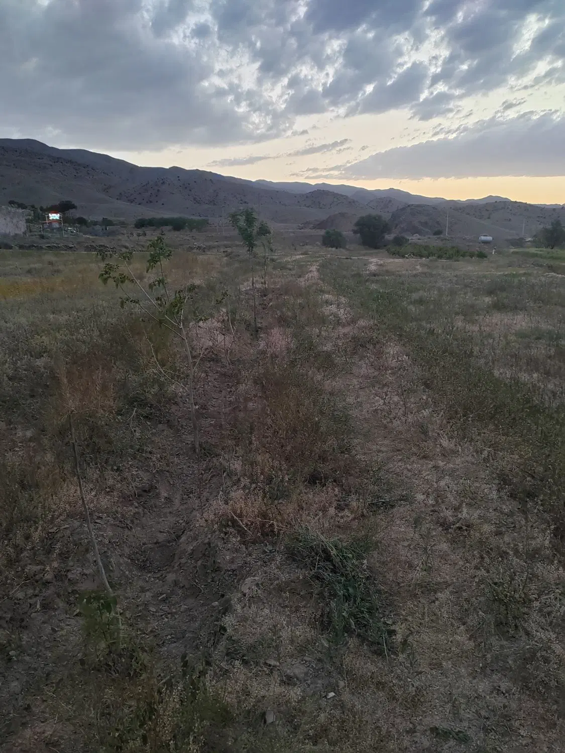 تصویر 2
