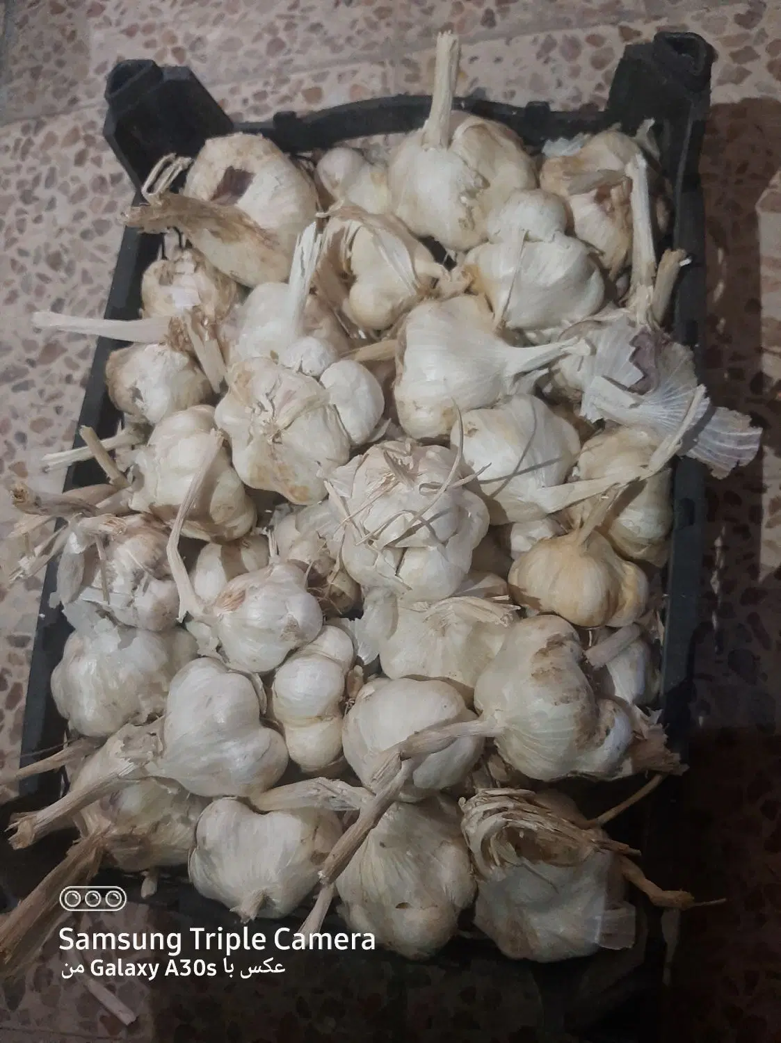 سیرخشک|خوردنی و آشامیدنی|خرمآباد, |دیوار