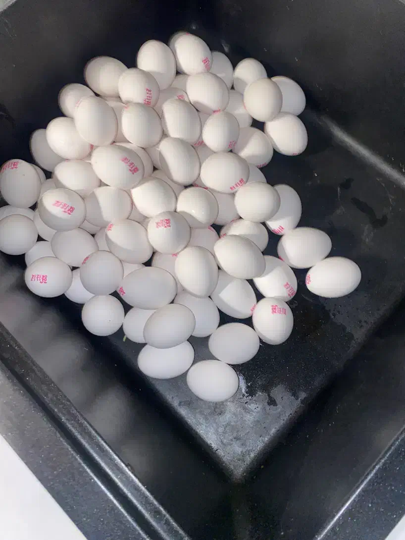 تخم مرغ زرده طلا|خوردنی و آشامیدنی|تهران, اختیاریه|دیوار