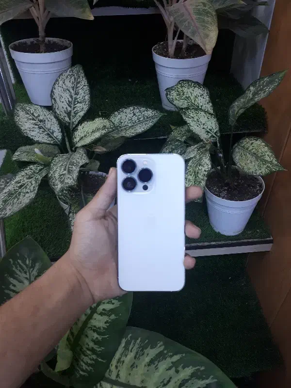 iphone13 pro|موبایل|اهواز, کوی باهنر|دیوار