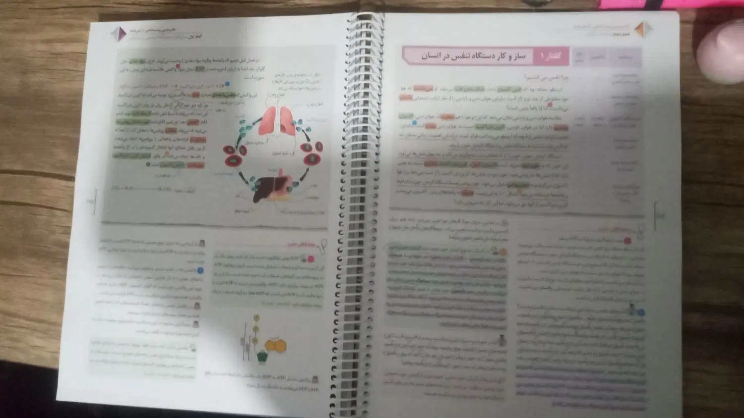 زیست دهم|کتاب و مجله آموزشی|اصفهان, شهرک میلاد|دیوار
