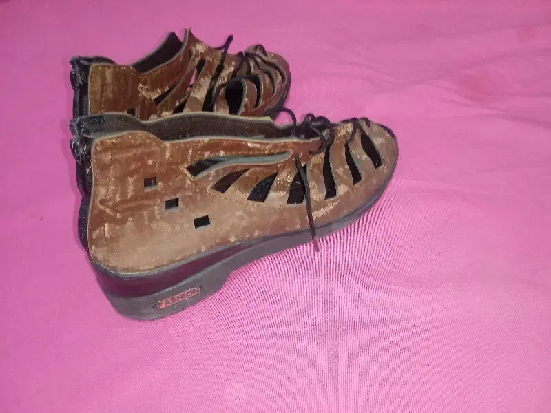 کفش مجلسی|کیف، کفش، کمربند|بجنورد, |دیوار