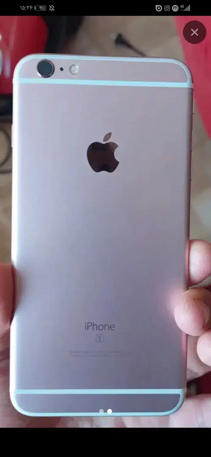 کوشیم گم شده|موبایل|اردبیل, |دیوار