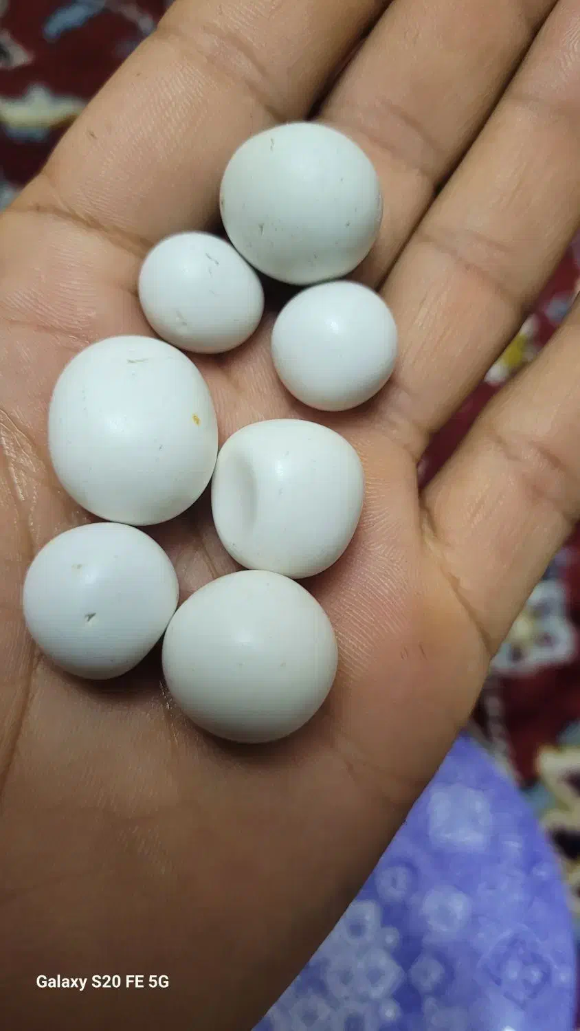 سنگ...|کلکسیون اشیاء عتیقه|بروجرد, |دیوار