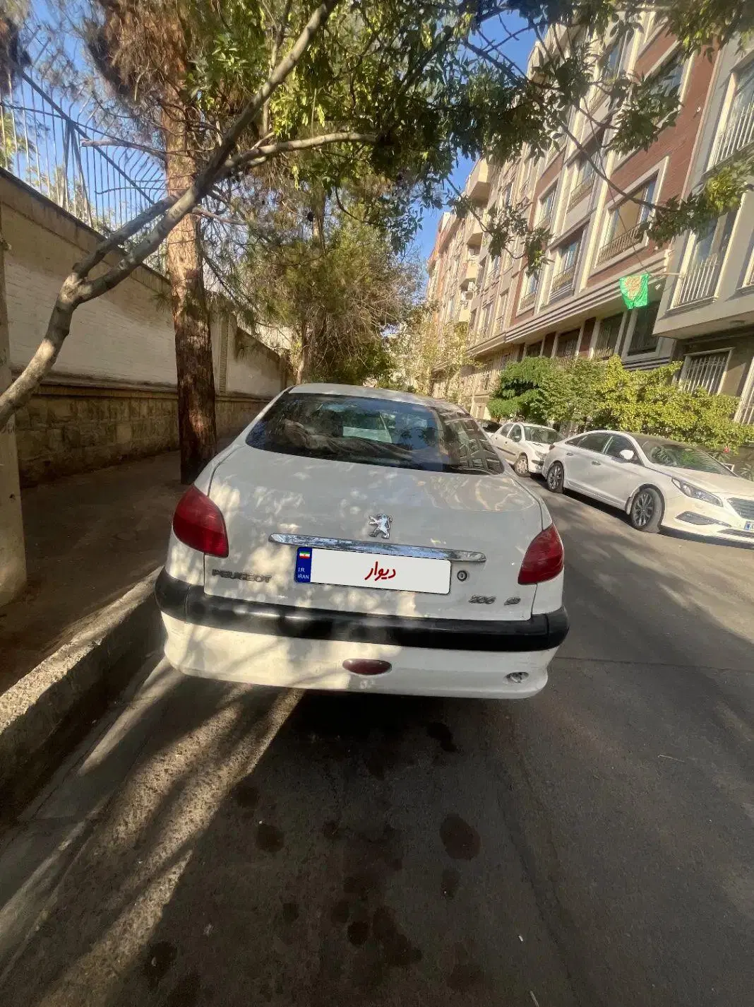 206SD V8|خودرو سواری و وانت|تهران, سازمان آب|دیوار