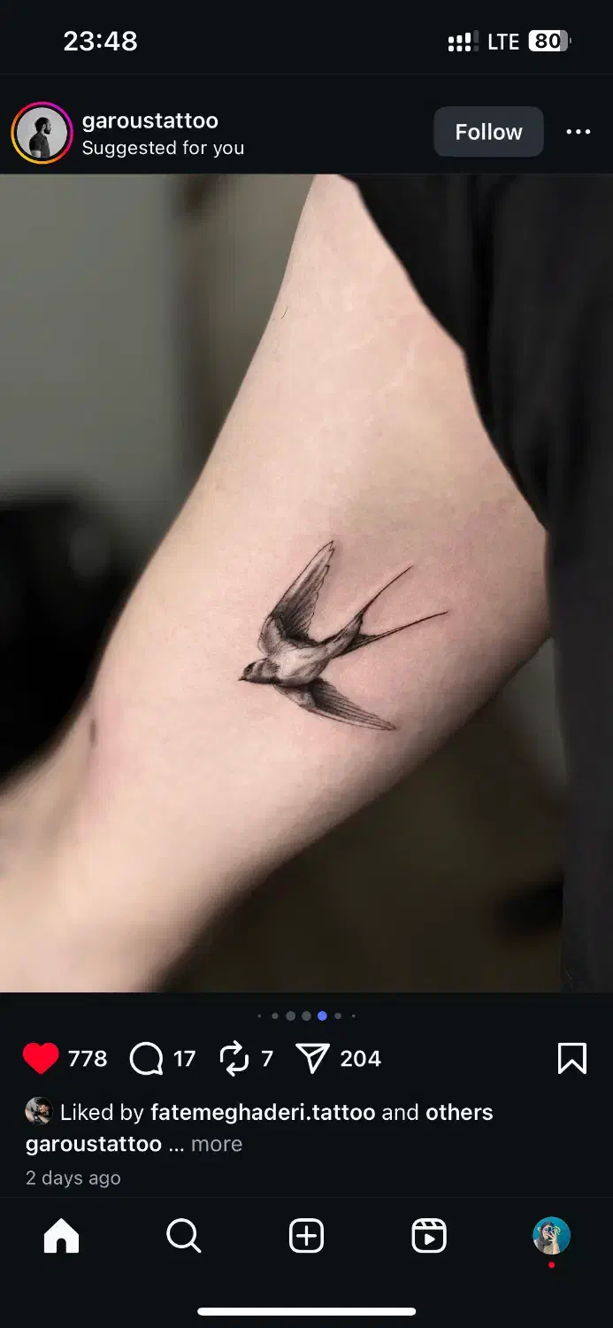 تتو|آرایشگاه و سالن‌های زیبایی|زابل, |دیوار