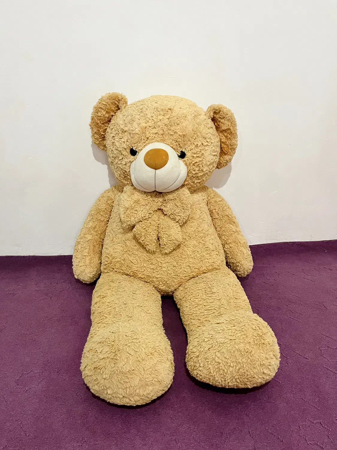 عروسک نو|اسباب‌‌بازی|زنجان, |دیوار