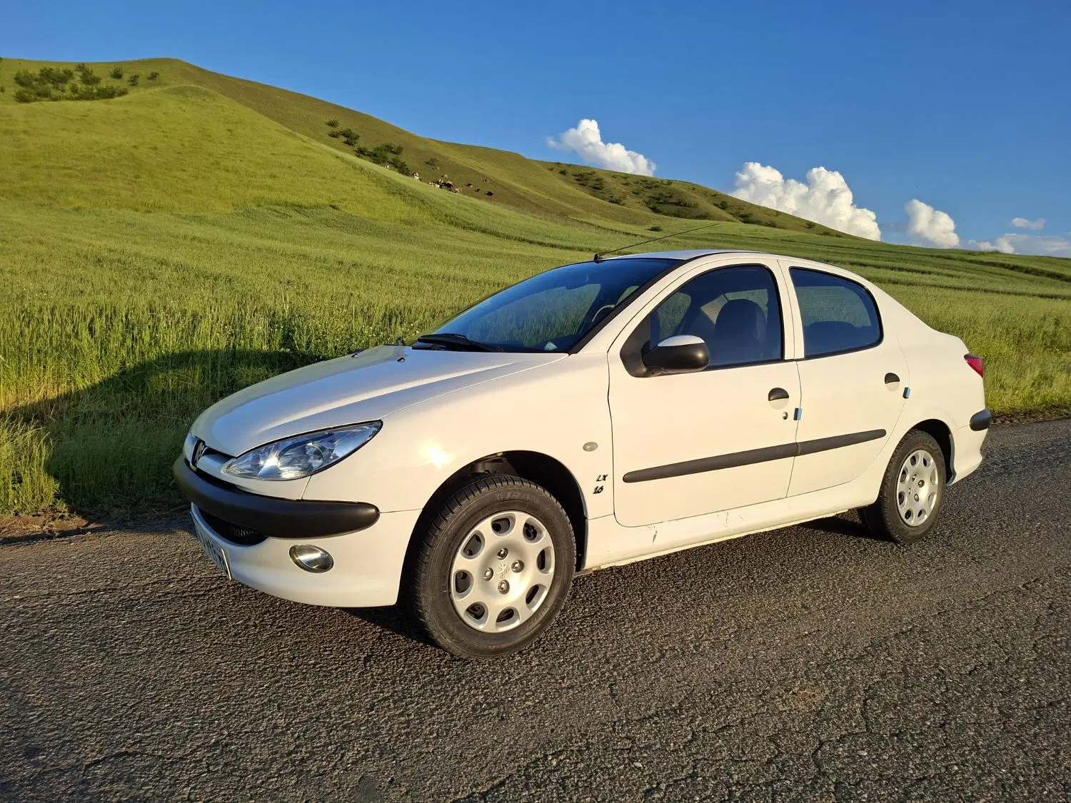206 sd V8|خودرو سواری و وانت|آبش احمد, |دیوار