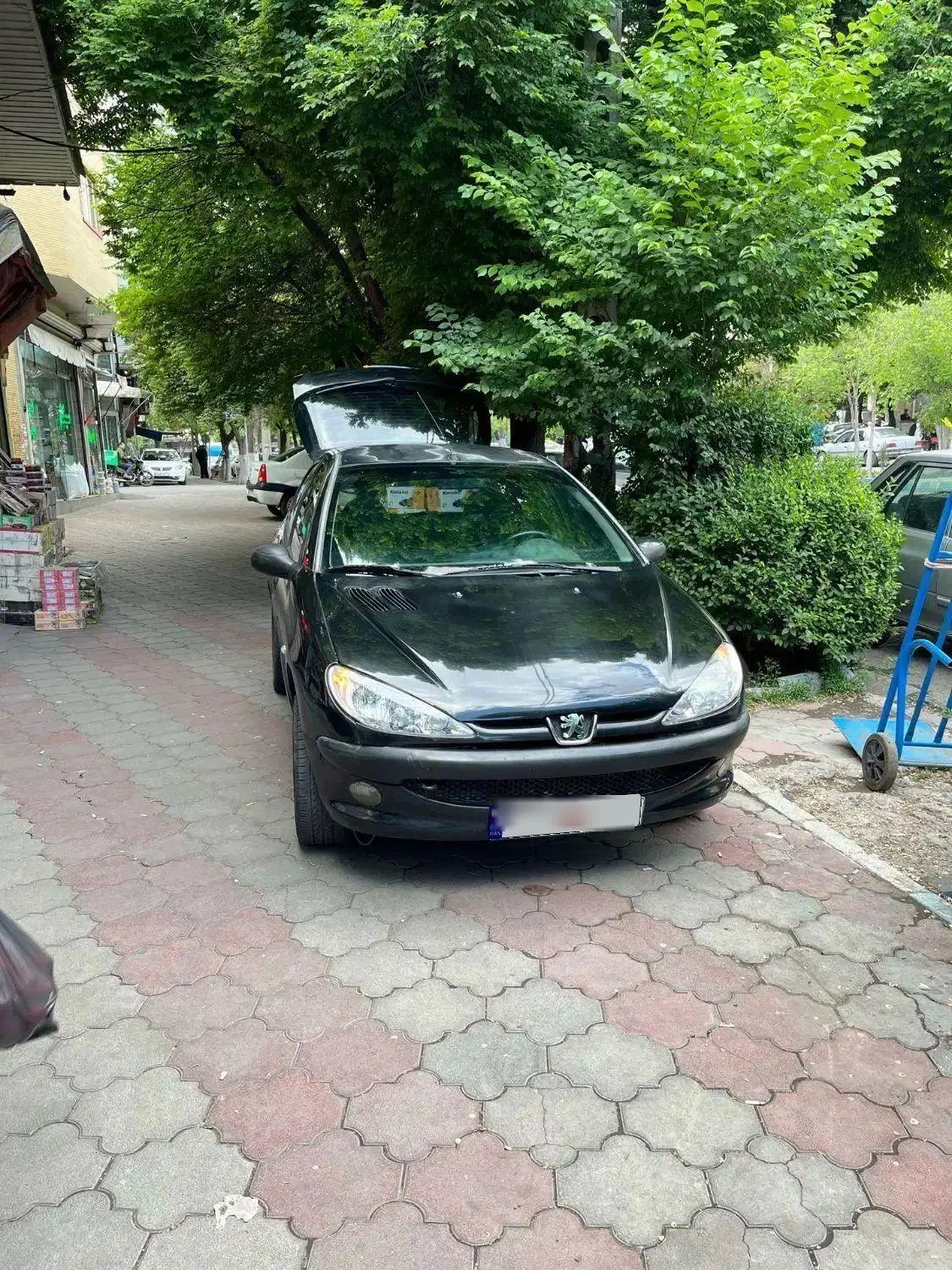 پژو206|خودرو سواری و وانت|تبریز, |دیوار