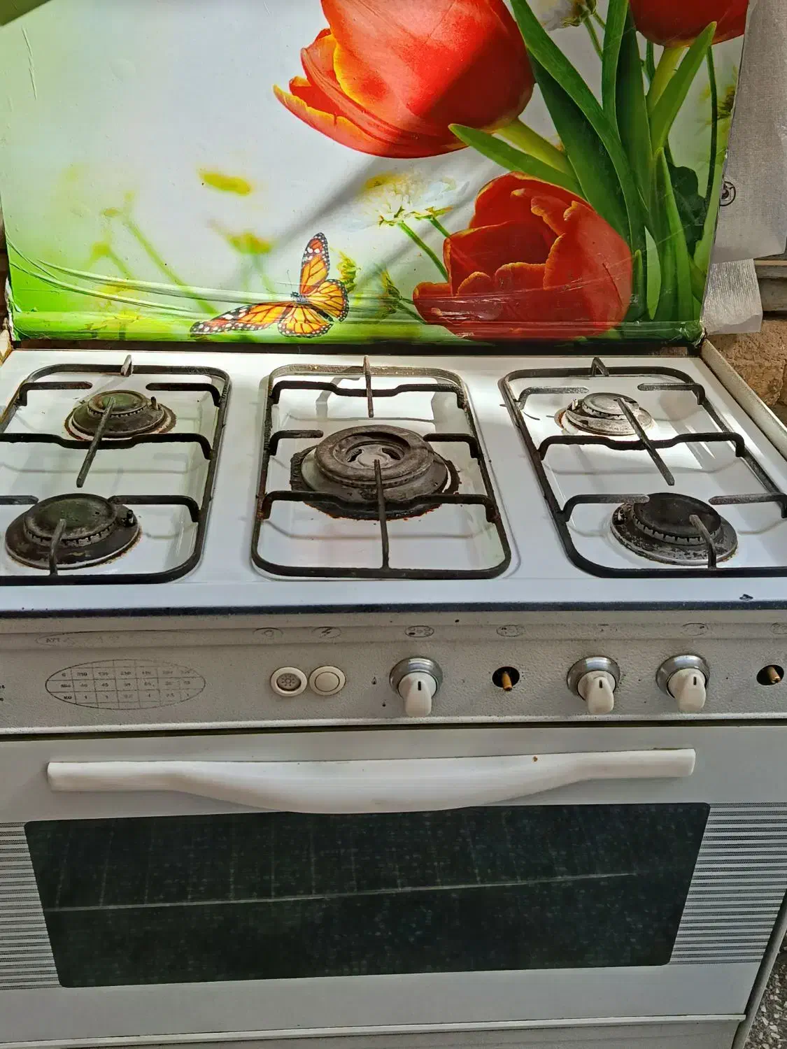 گاز سالم|اجاق گاز و لوازم برقی پختوپز|شیراز, سلطان آباد|دیوار